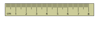 cm ruler.png
